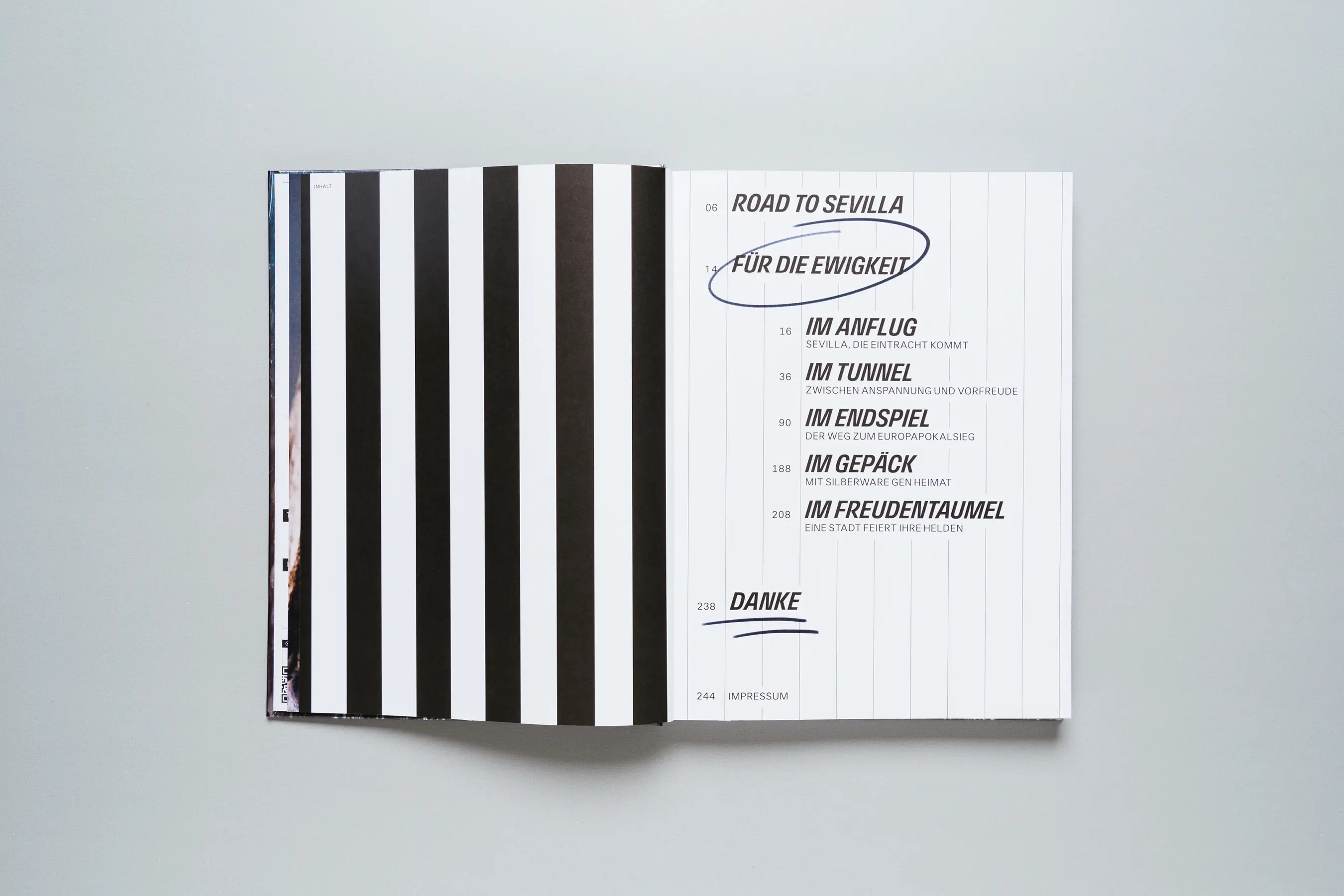 Image Project - Eintracht Frankfurt