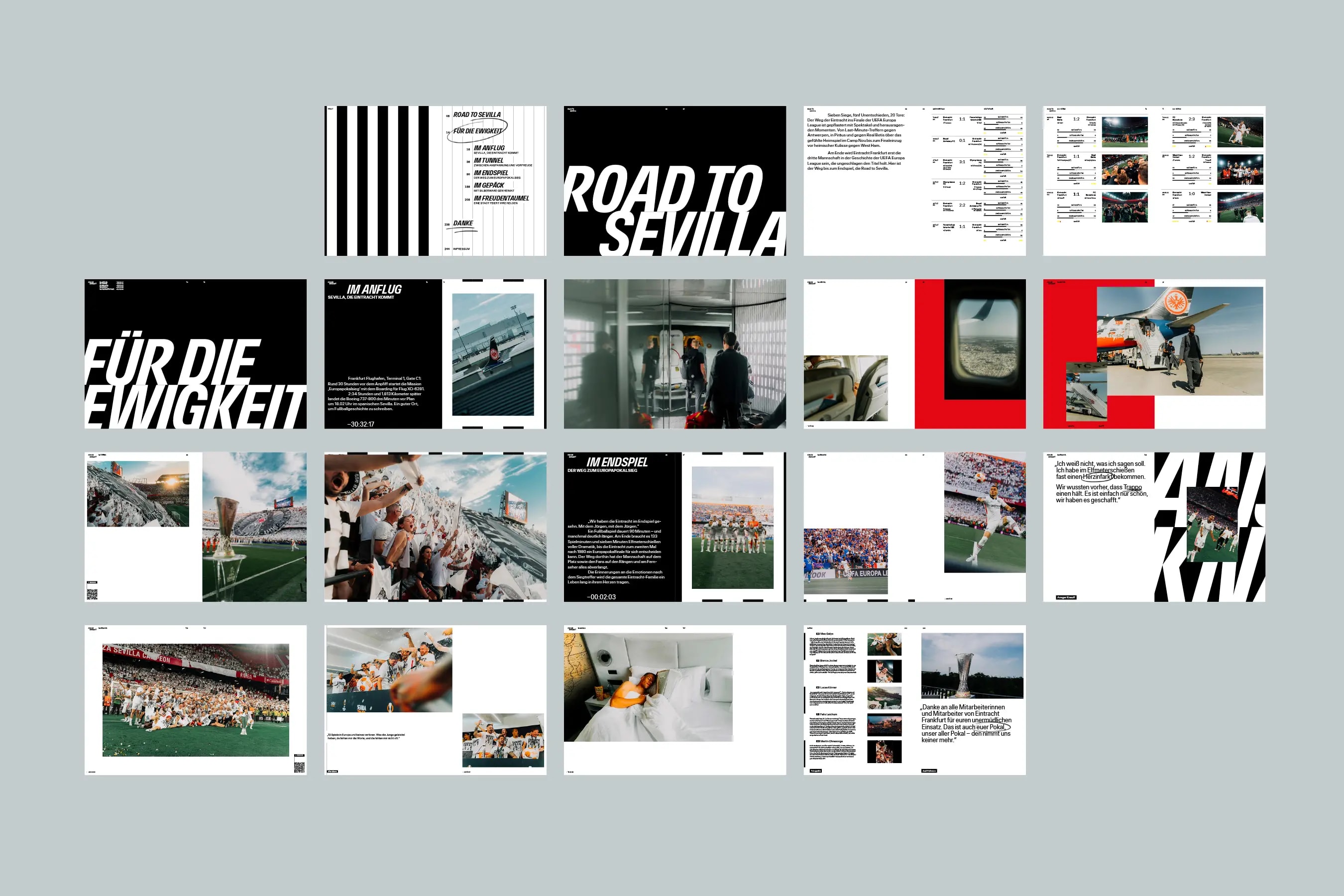 Image Project - Eintracht Frankfurt