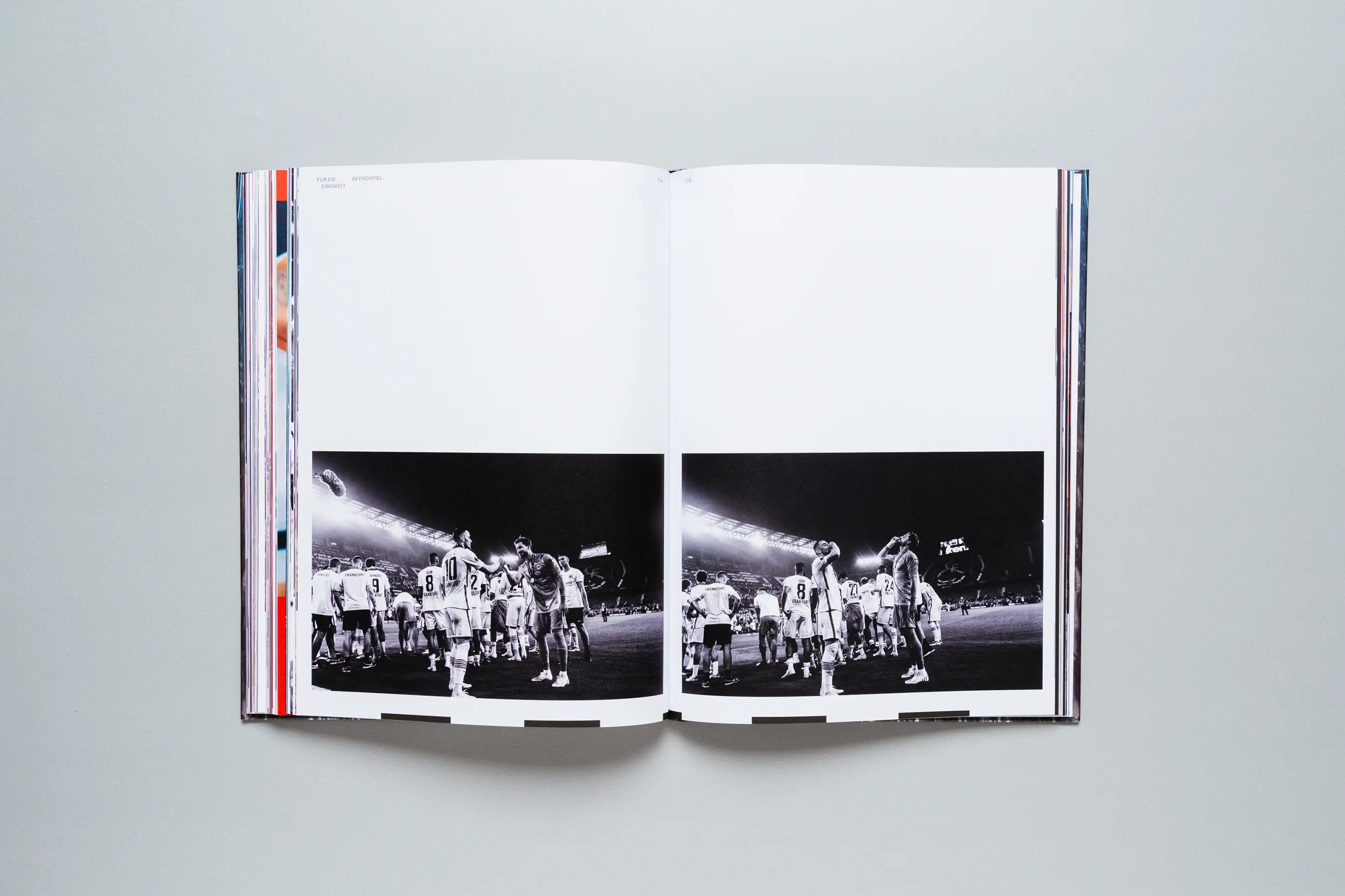 Image Project - Eintracht Frankfurt