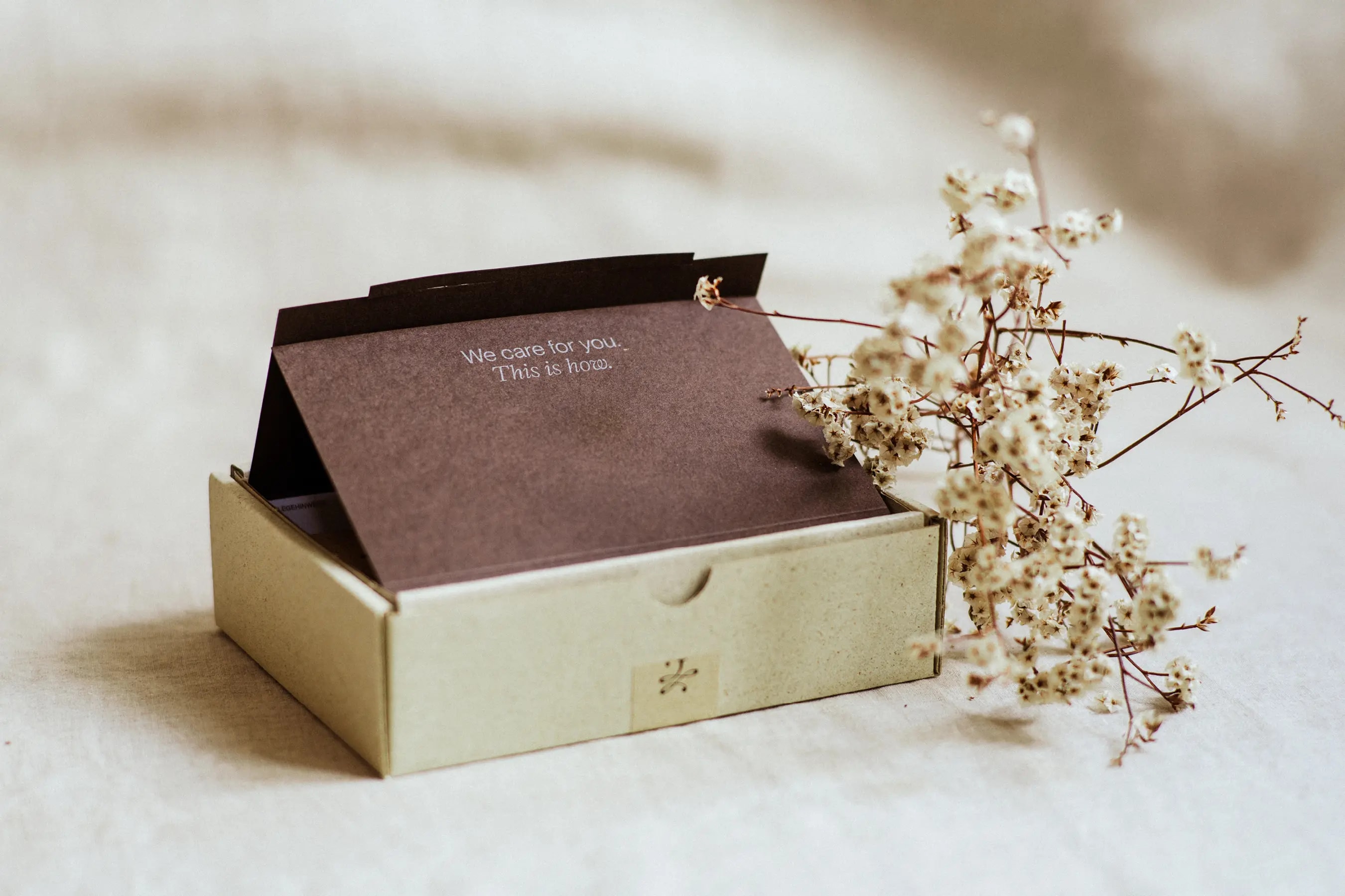 Image Project - Luisa Teresa