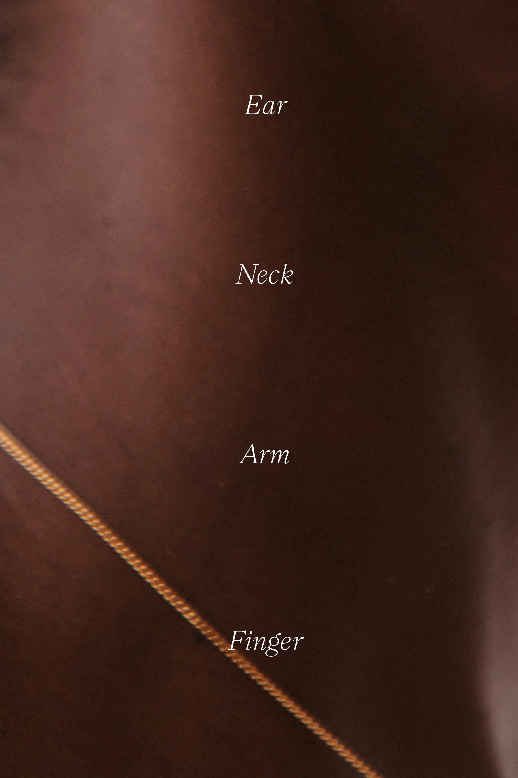 Image Project - Luisa Teresa