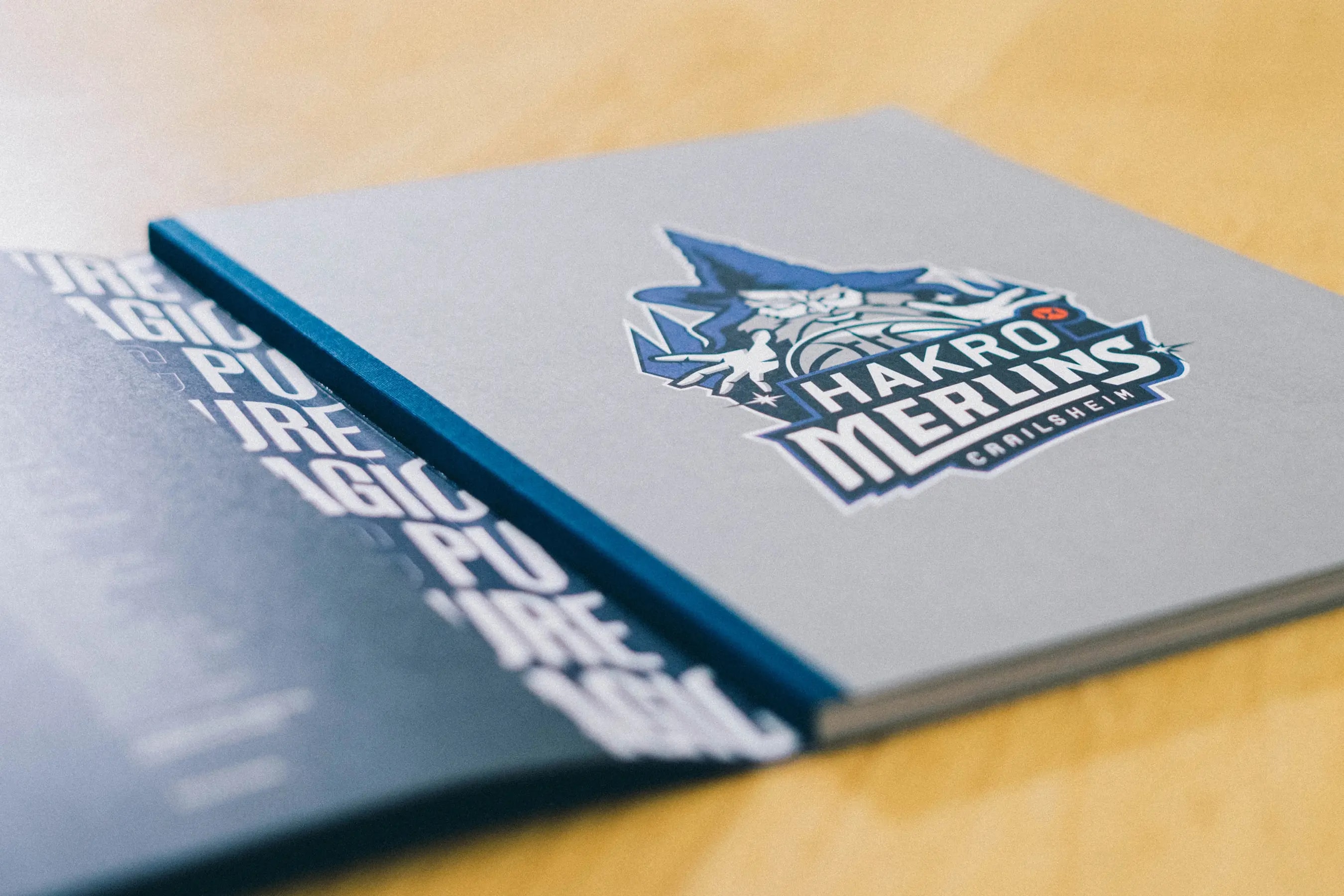 Image Project - HAKRO Merlins Crailsheim