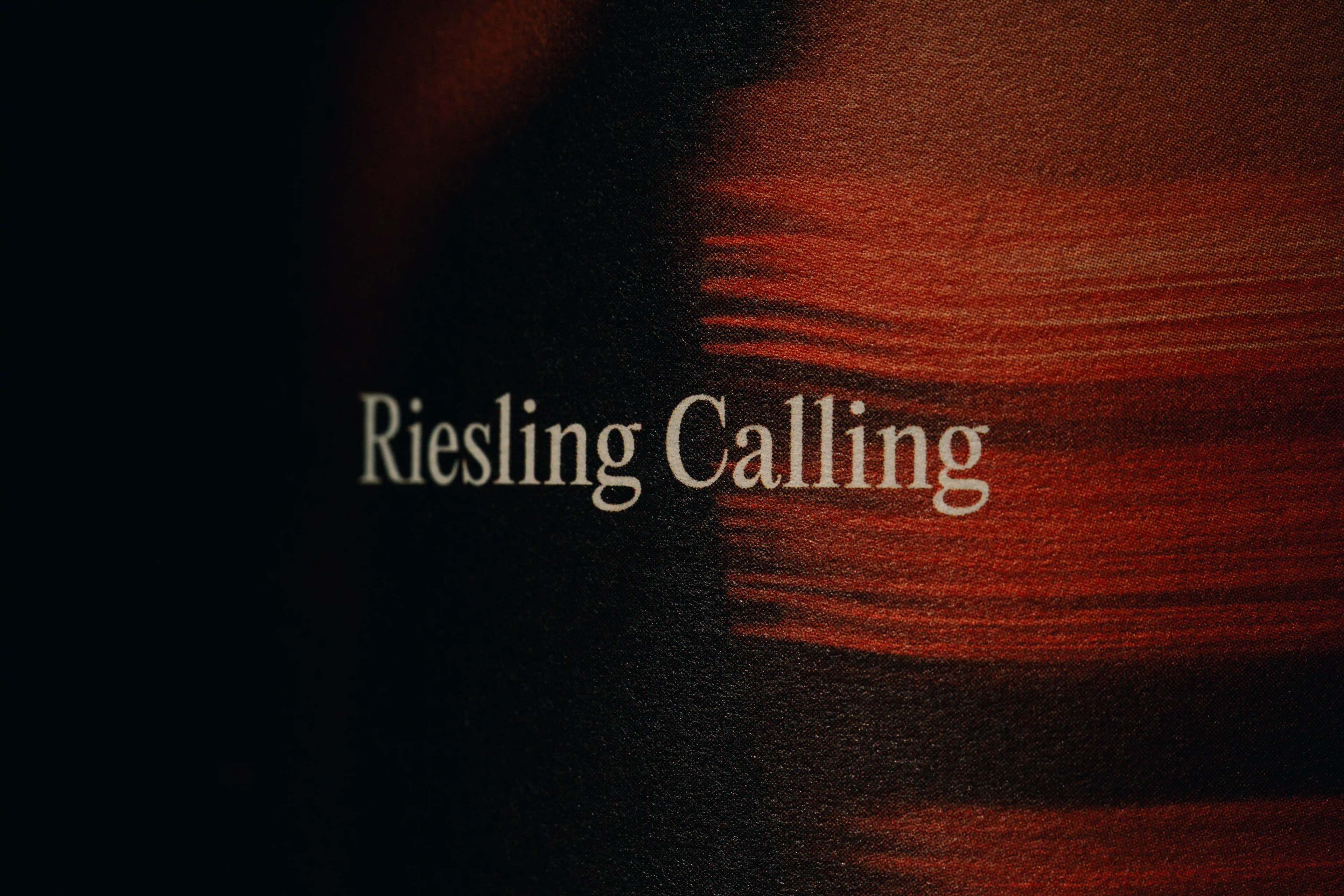 Image Project - F. STIEGLMEIER